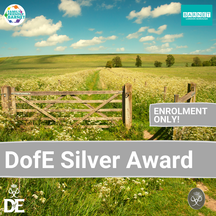 019 Early Help Service dofeDofESilverAward202021379